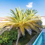 Apartmán In Meernaehe Auf Sardinien Orosei